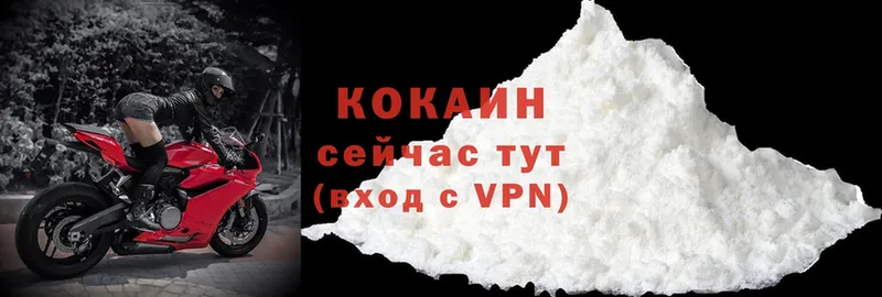 Cocaine FishScale  цена   Кедровый 