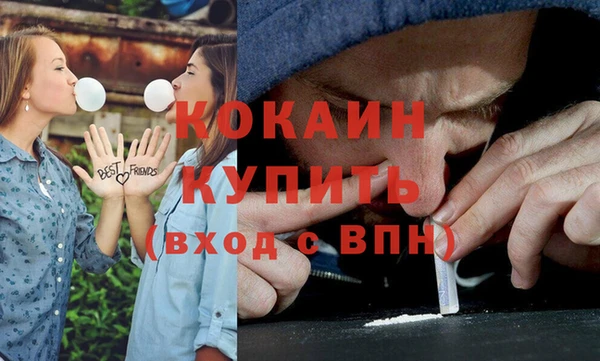 альфа пвп Новодвинск