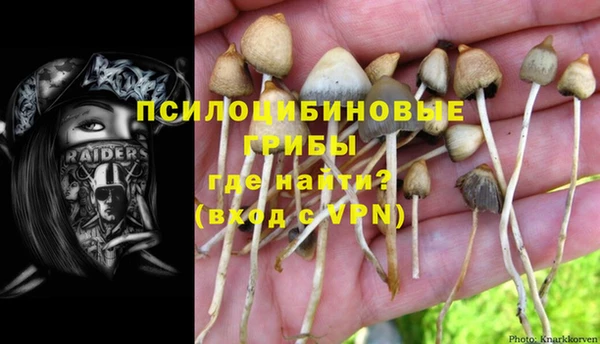 герыч Новокубанск