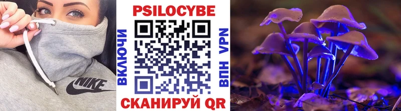 сколько стоит  Кедровый  Псилоцибиновые грибы Magic Shrooms 